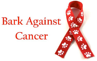 bark-against-cancer