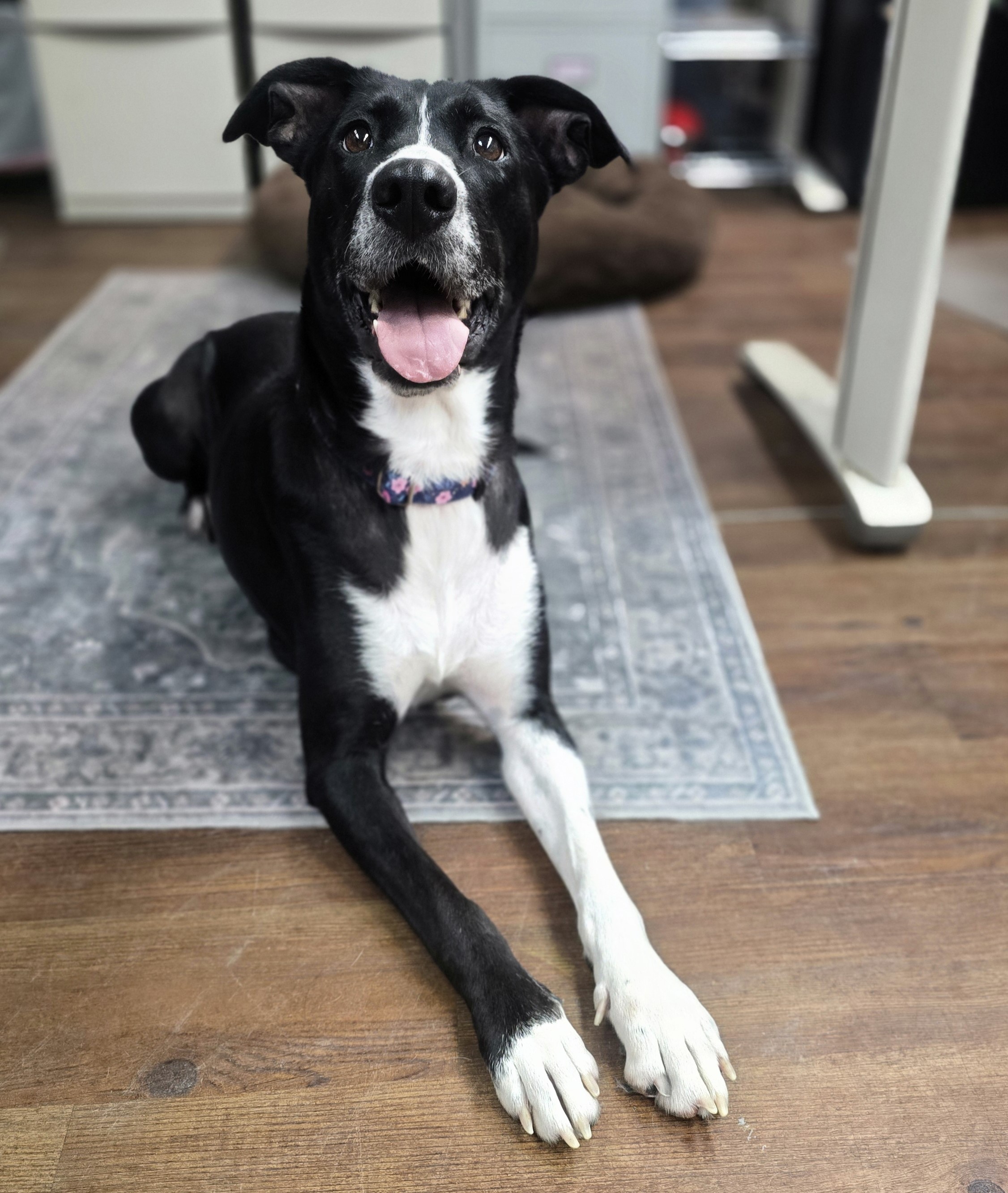 Zina